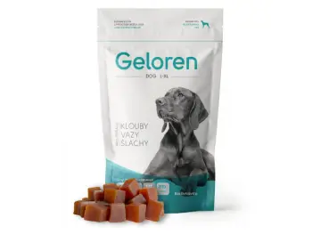 GELOREN DOG large 420g žuvacie tablety