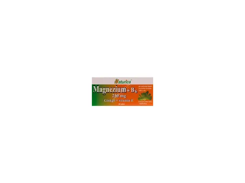 Magnézium 250mg+ B6 s Ginkgom+ vit. E 30 tbl