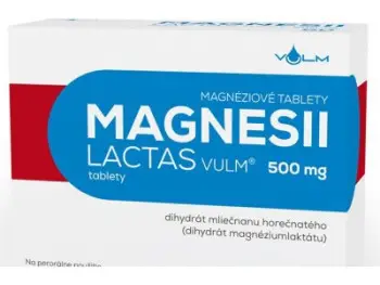 MAGNESII LACTAS VULM 500 mg tbl 1x60 ks
