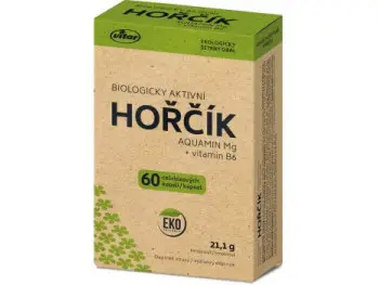 VITAR HORČÍK AQUAMIN Mg + vitamín B6 cps 1x60 ks