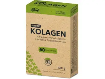 VITAR KOLAGÉN FORTE + extrakt z Boswellia serrata cps 1x60 ks